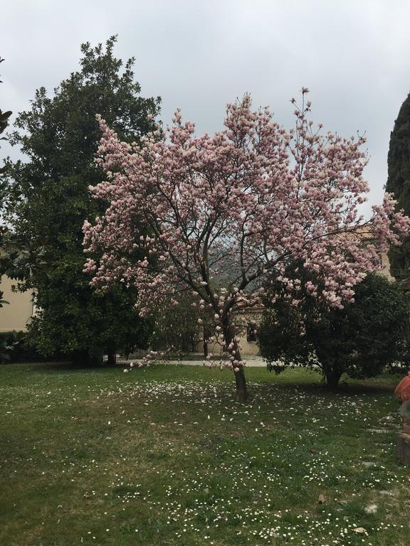 Agriturismo Villa Panigai Farra di Soligo Buitenkant foto